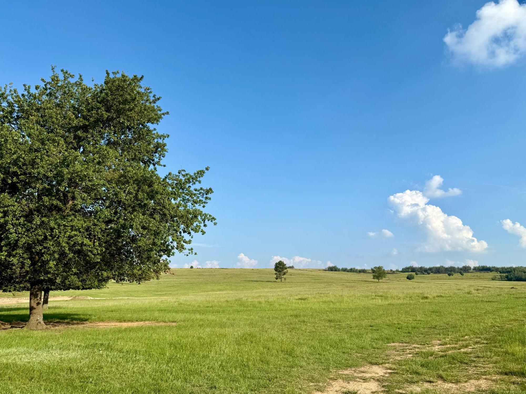 Uitzicht Private Nature Reserve And Lodge Fouriesburg Habitación foto